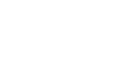 White Local news logo