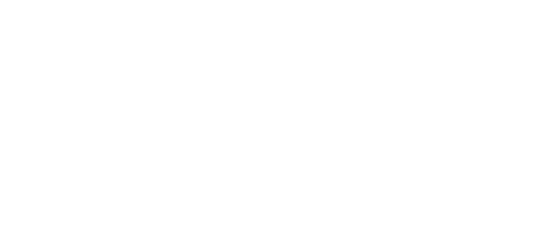 Page logo